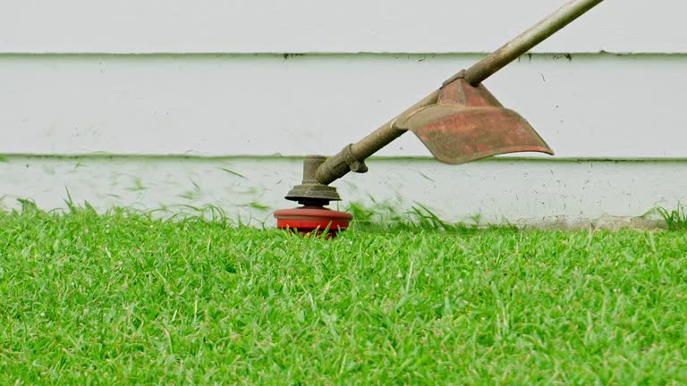 Best Lawn Renovation and Restoration  in Miami Heights, OH